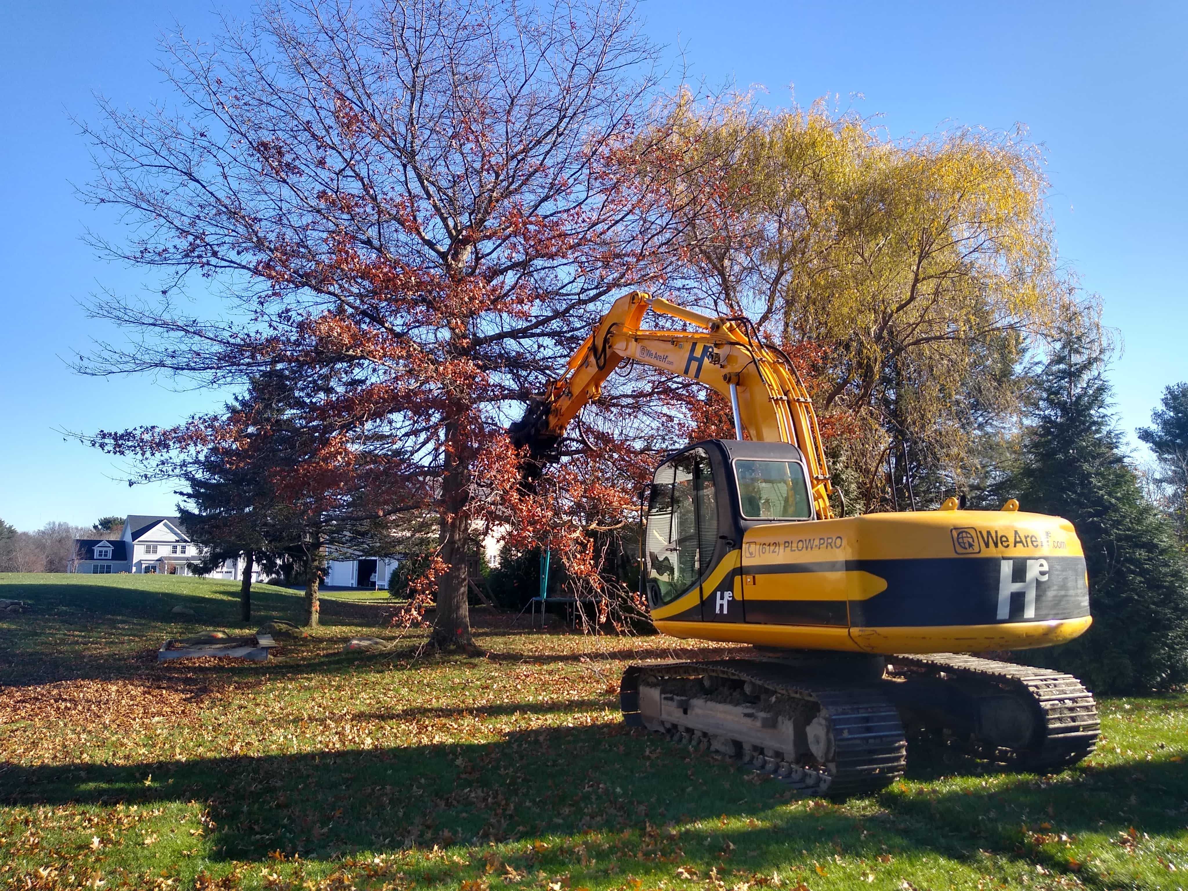 Hunter Environmental excavator working on tree